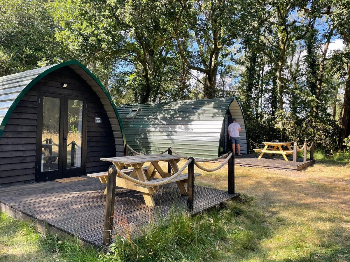 Nightjar Cabin At Cloudshill Glade Wareham Exteriér fotografie
