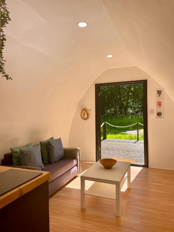 Nightjar Cabin At Cloudshill Glade Wareham Exteriér fotografie